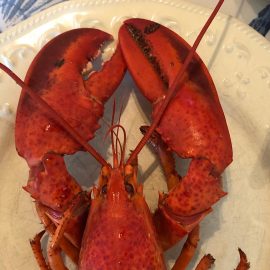 Lobster and the Heart of God