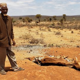 Ethiopian Emergency Feeding Program from Tearfund Canada