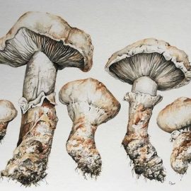 Painting with Rocks and Soil – Nordegg Community Church