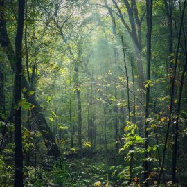 Something New – Church Planting